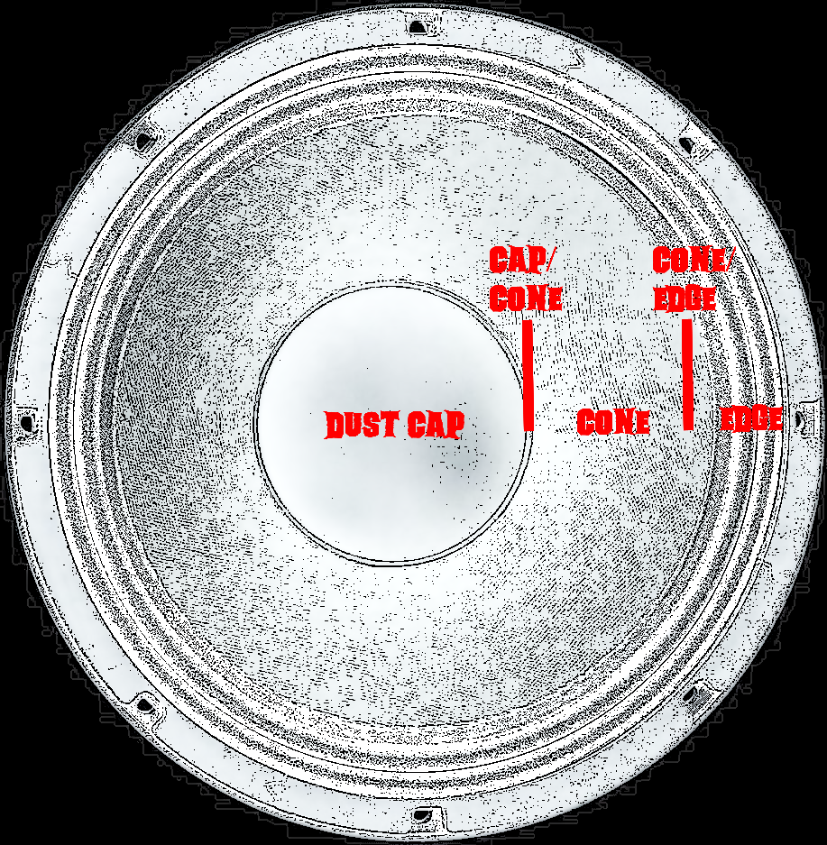 Anatomy of a speaker